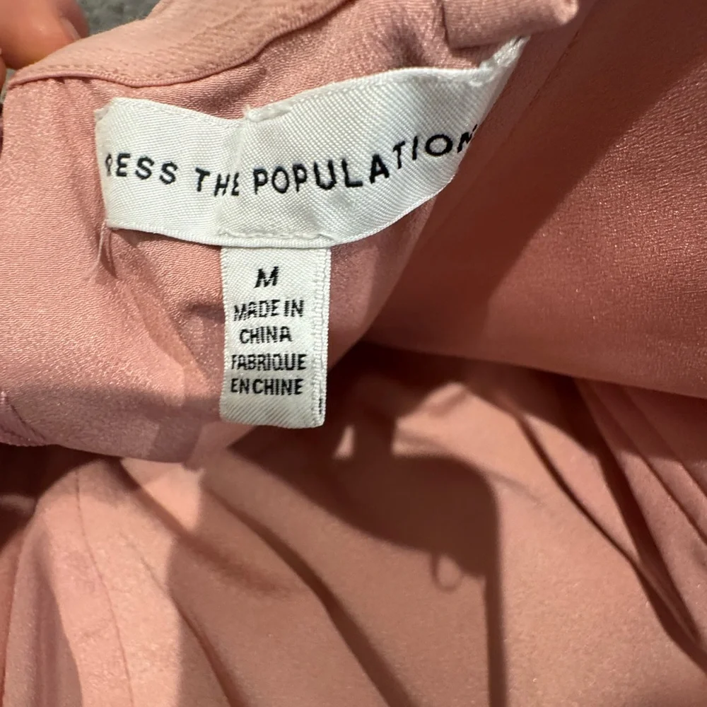 Dress the Population 
Kailyn blush multi - Picture 7 of 8